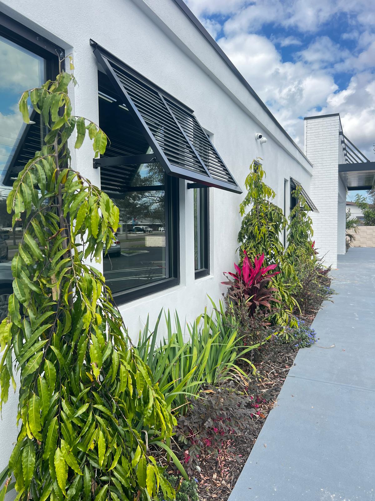 WhatsApp Image 2025-02-13 at 1.43.51 PM